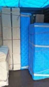 WhatsApp Image 2025-12-11 at 3.16.01 PM